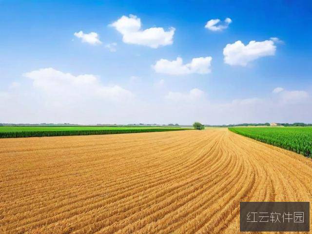 国产产区一二三产区的区别解析