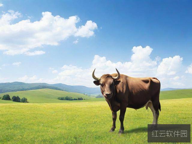 金牛网155755eom高手三肖,揭秘155755四肖一码的精准预测技巧