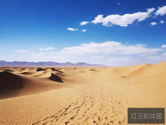 无人区码一码二码三码是什么?详细解析其含义与特点